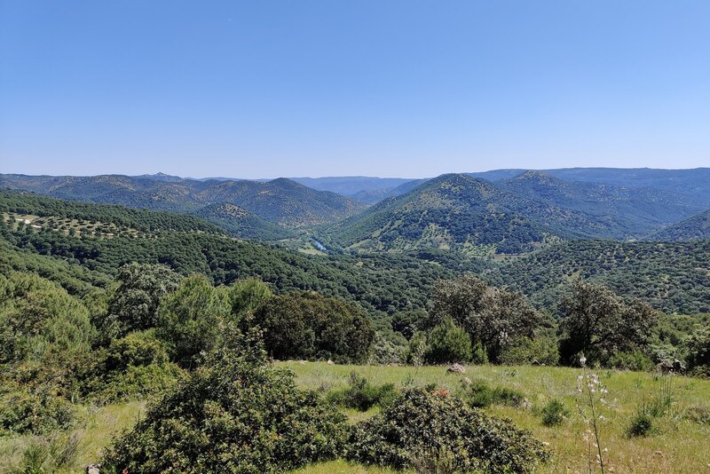 Paisaje de encinar y montes de la Sierra de Andújar, en Sierra Morena