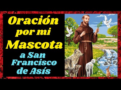 Oración de san francisco de asis para los animales
