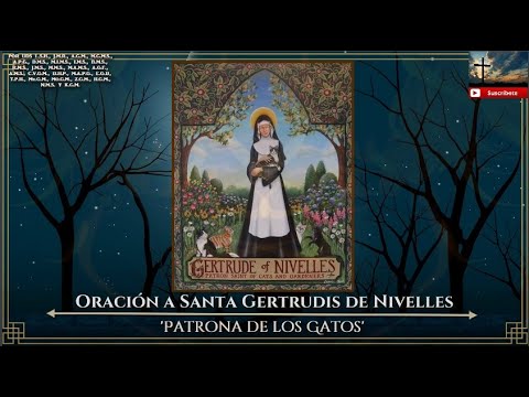 Santa apolonia patrona de los gatos oración